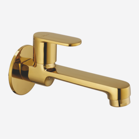 PX-CC-22 PVD GOLD Long Body Long Nose