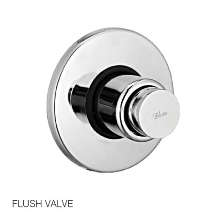 Flush Valve